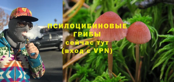 прущие грибы Алексин