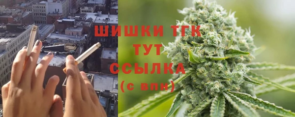 ешки Алзамай