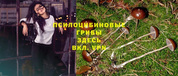 ешки Алзамай