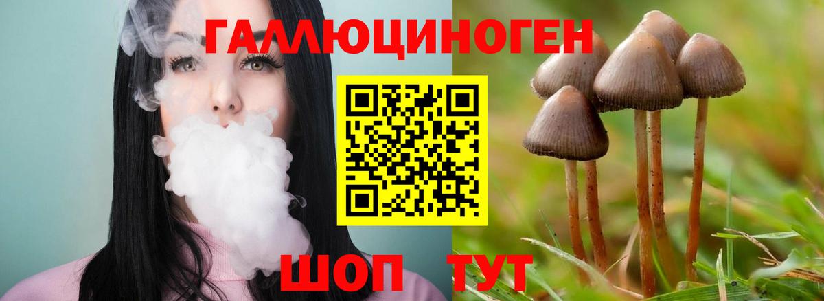 Псилоцибиновые грибы Psilocybe  что такое наркотик  Галлюциногенные грибы прущие грибы  Апатиты  Вход с VPN 